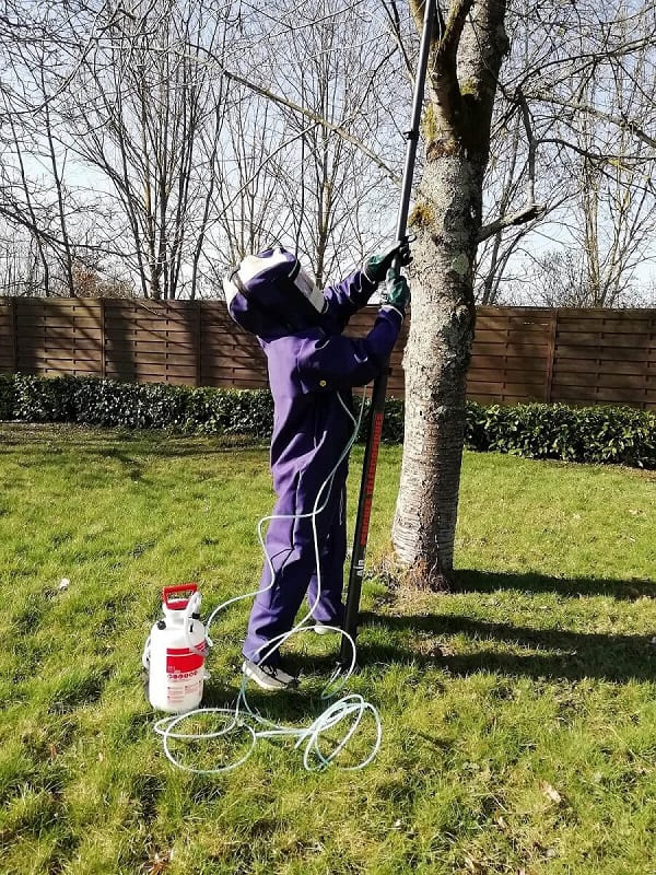 homme qui travaille sur un arbre