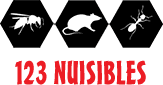 logo 123 nuisibles